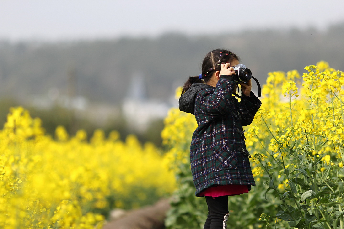 IMG_1320_调整大小.JPG