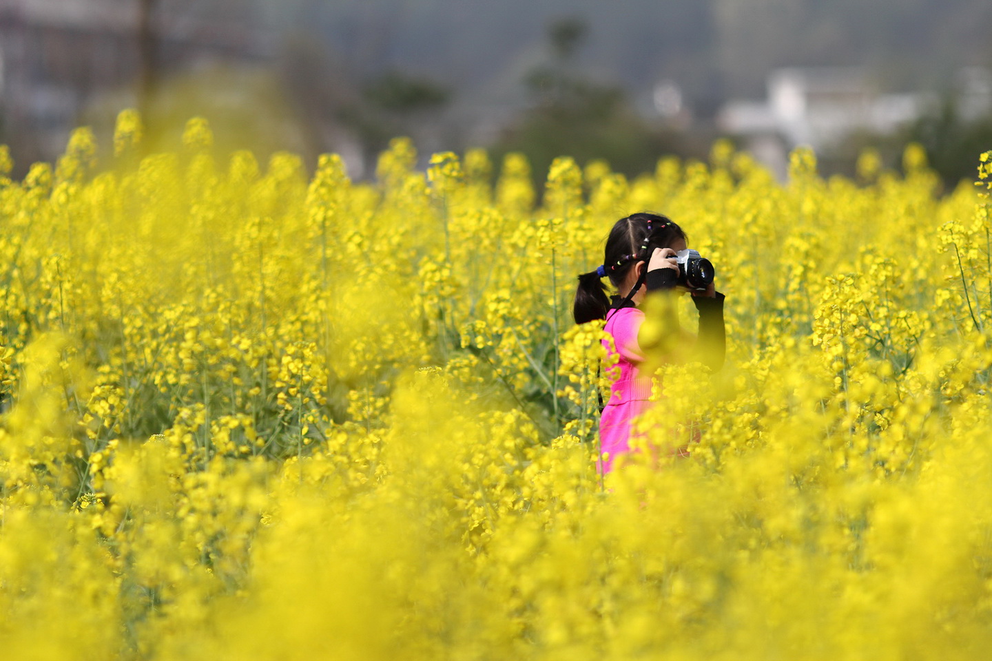 IMG_1365_调整大小.JPG