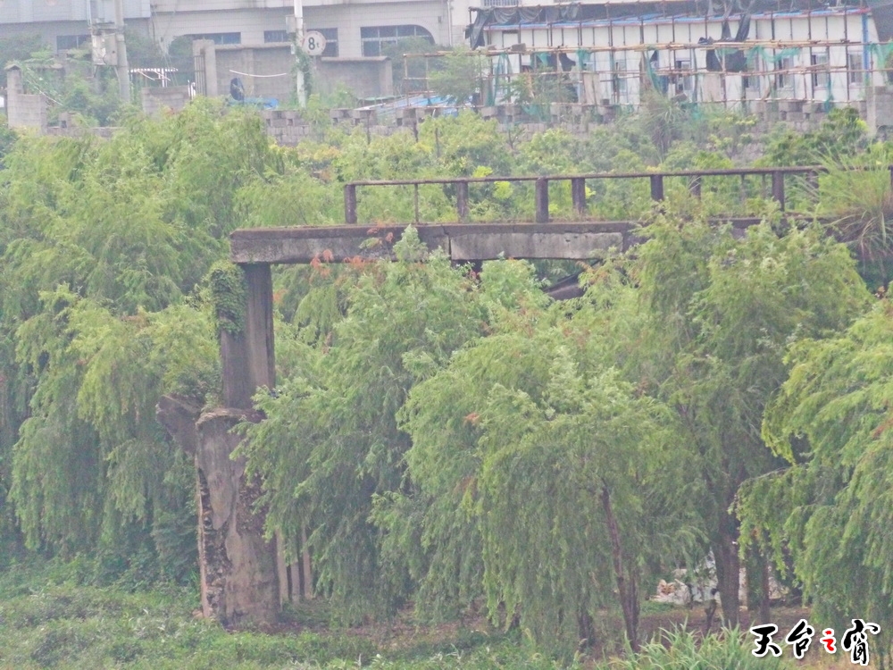 100_0222_调整大小.JPG