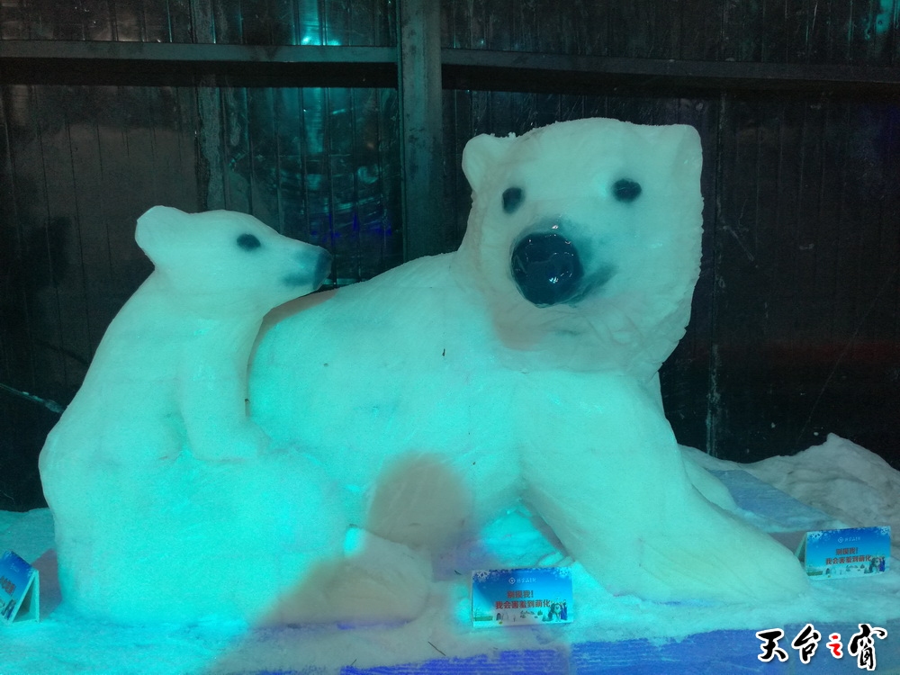 IMG_20160816_161517_调整大小.jpg