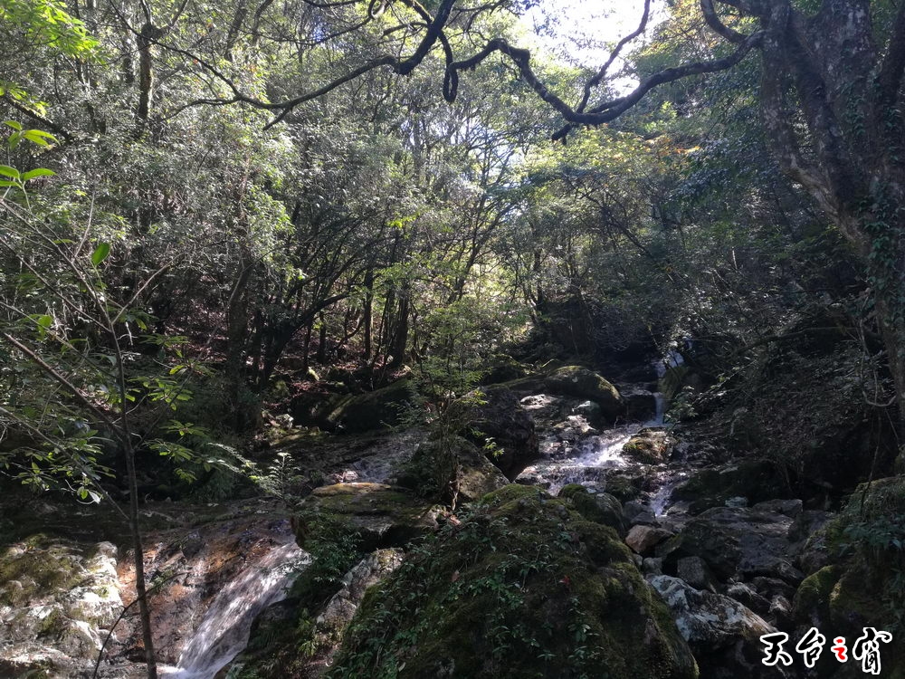IMG_20161004_095410_调整大小.jpg