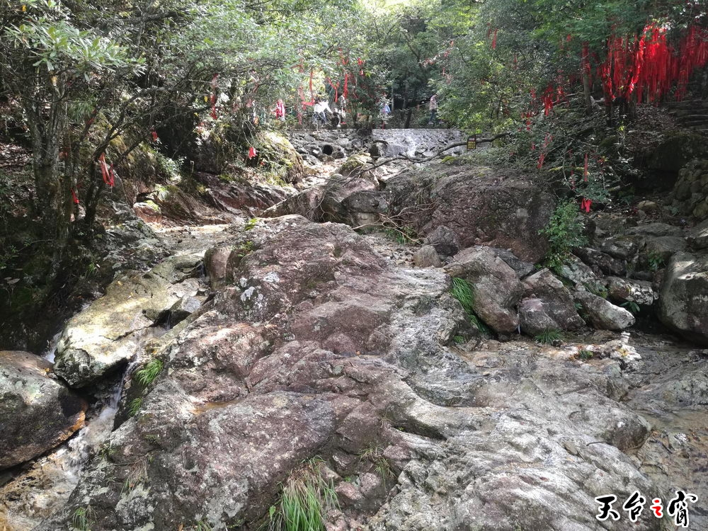 IMG_20161004_101146_调整大小.jpg