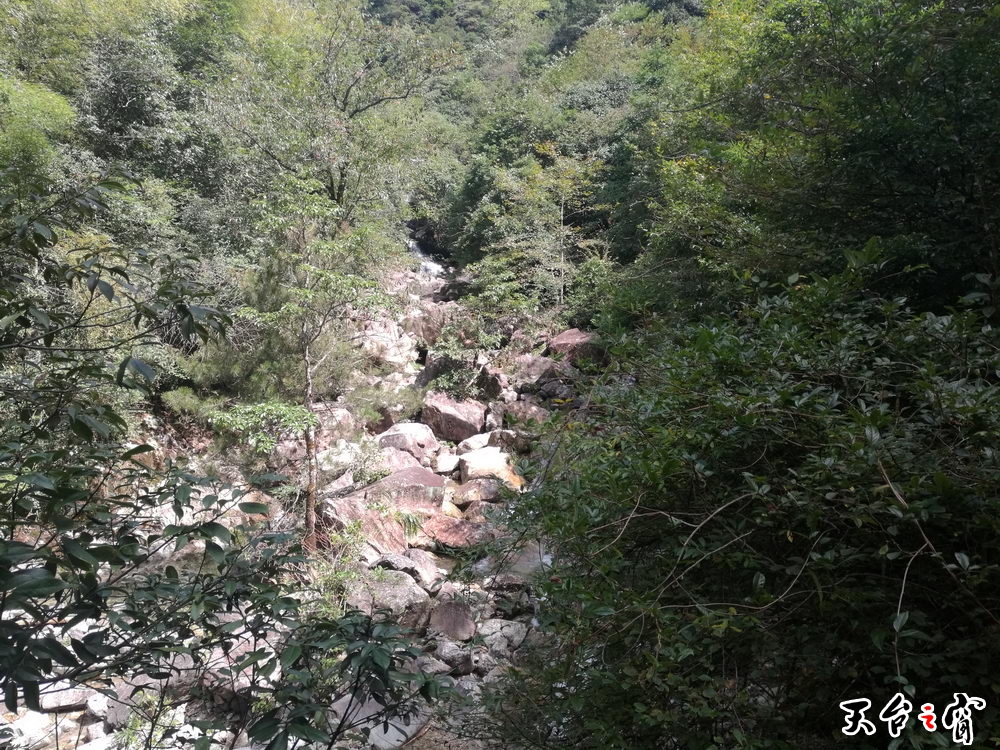 IMG_20161004_105151_调整大小.jpg