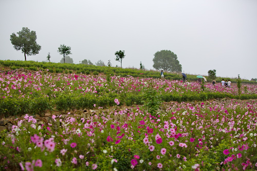 125A4439_调整大小.jpg