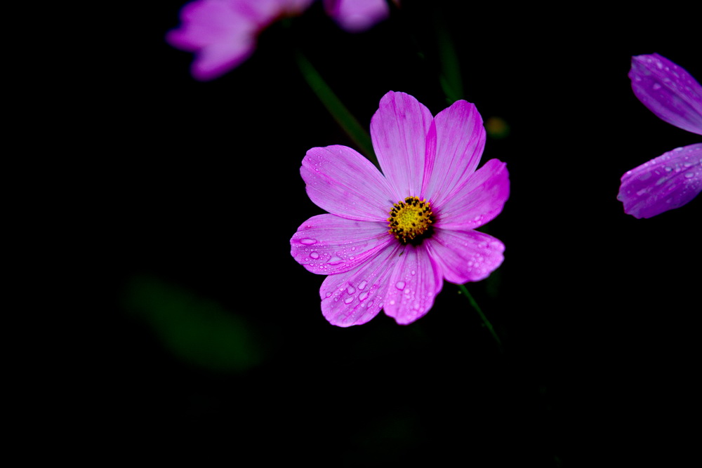 125A4509_调整大小.jpg