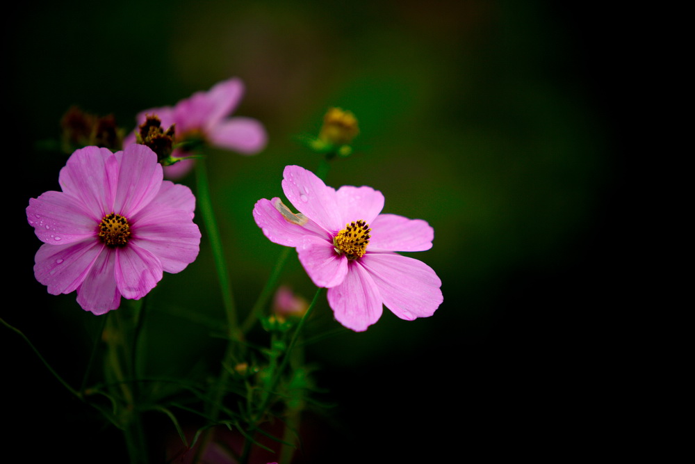 125A4536_调整大小.jpg