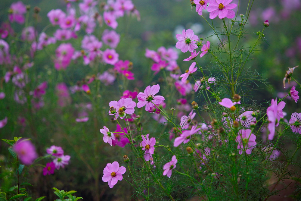 125A4513_调整大小.jpg