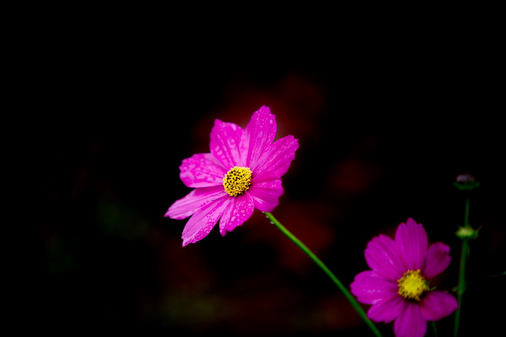 125A4558_调整大小.jpg