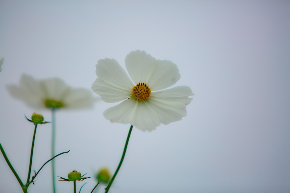 125A4578_调整大小.jpg