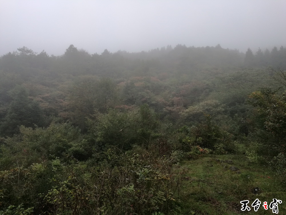 IMG_20161019_113738_调整大小.jpg