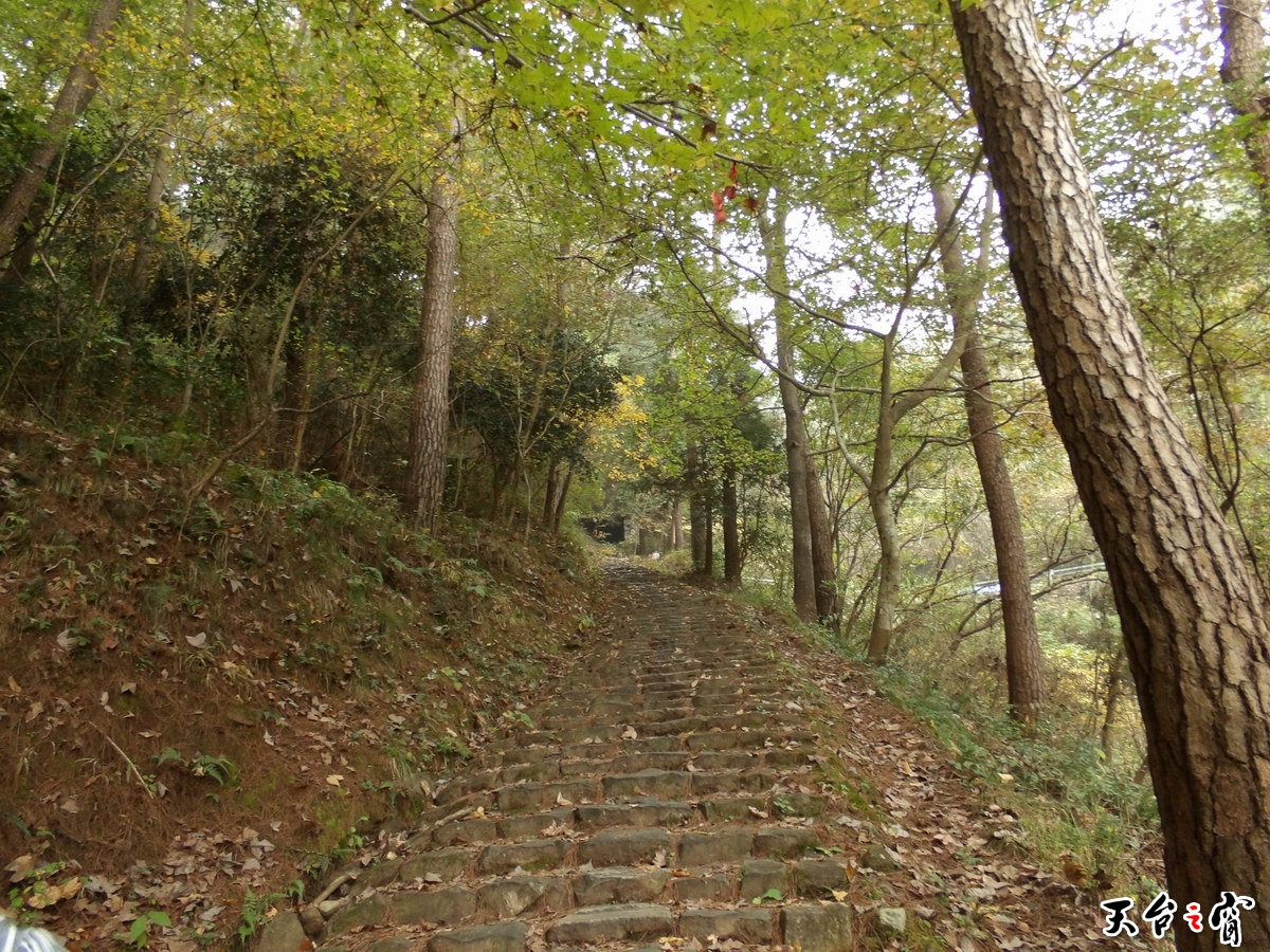 100_0853_调整大小.JPG