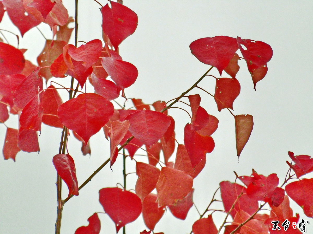 100_0918_调整大小.JPG