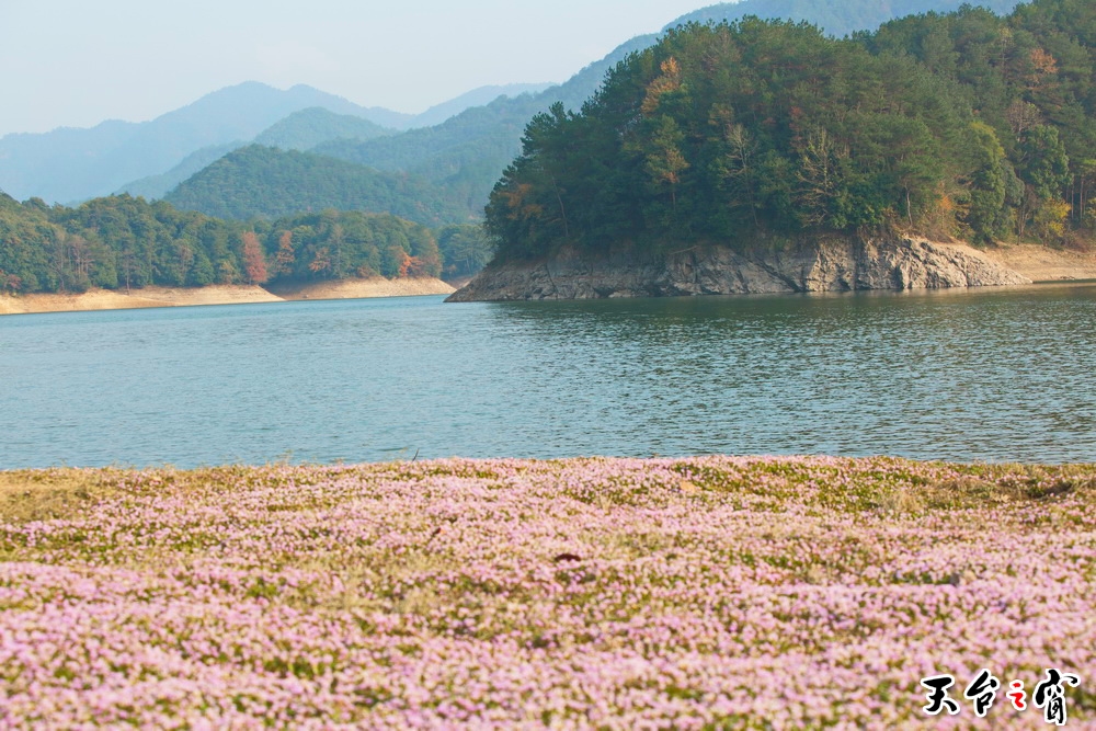 125A7490_调整大小.jpg