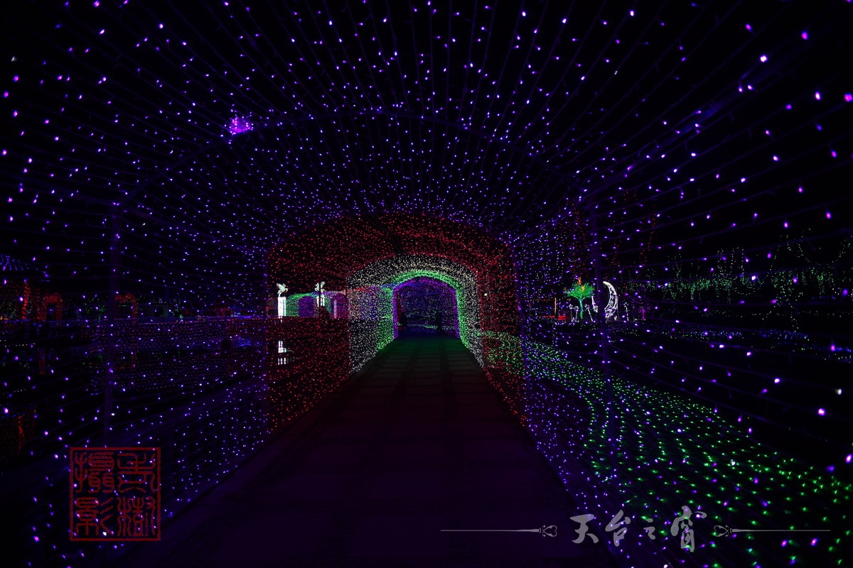 水印125A8656_调整大小.jpg.JPG