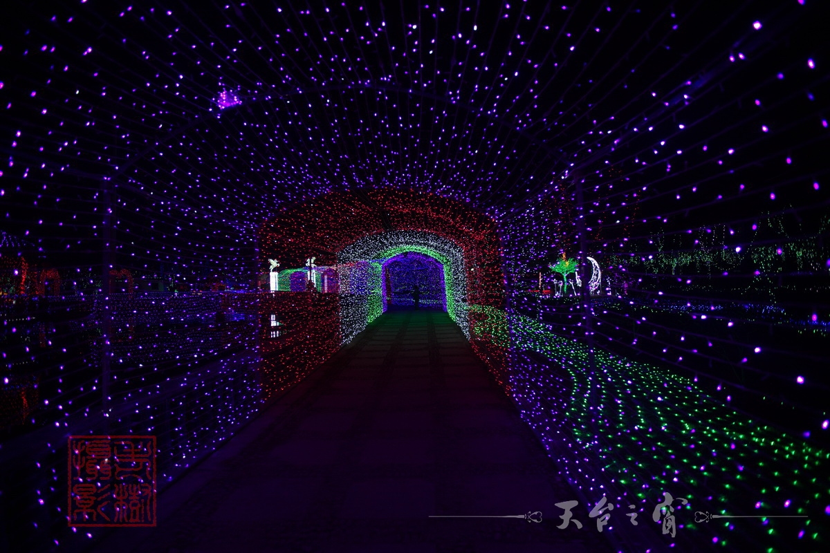 水印125A8658_调整大小.jpg.JPG