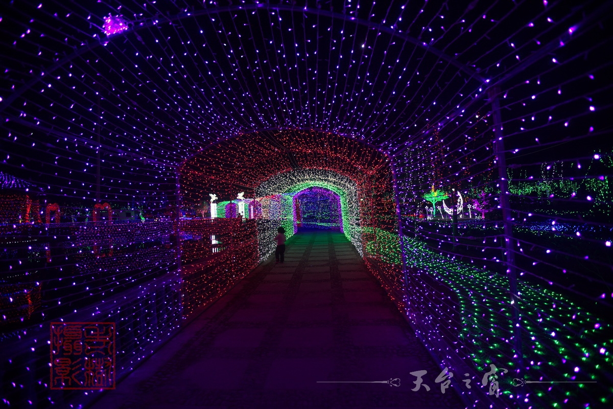 水印125A8669_调整大小.jpg.JPG