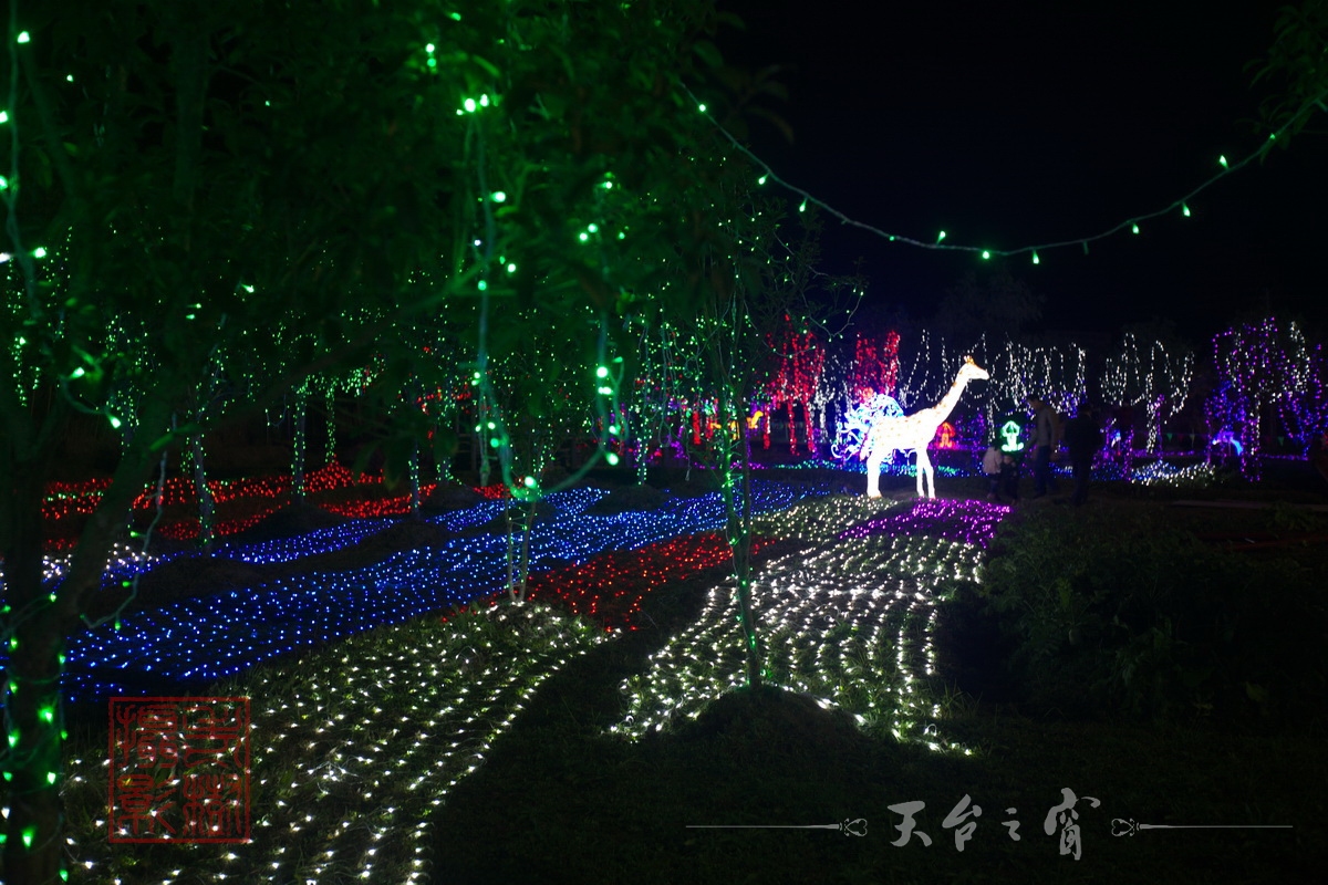 水印125A8781_调整大小.jpg.JPG