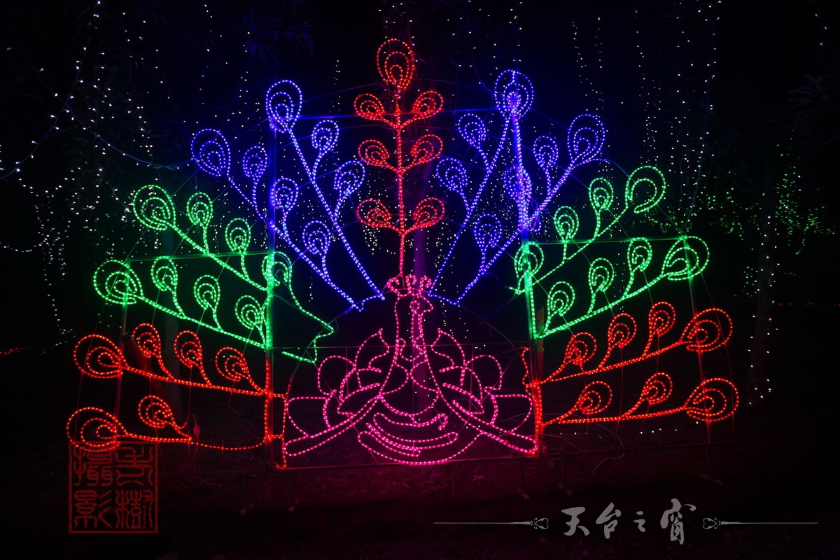 水印125A8841_调整大小.jpg.JPG