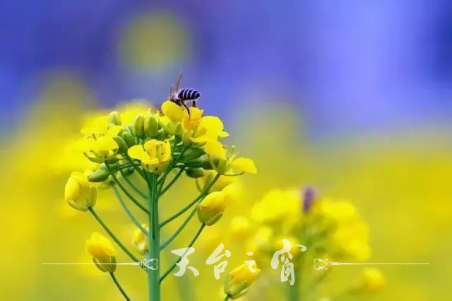 18ab00040c57044ea57d.jpg