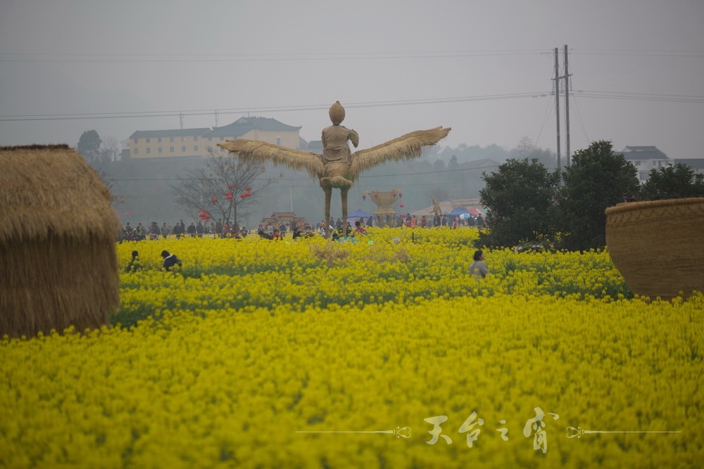 125A1210_调整大小.jpg