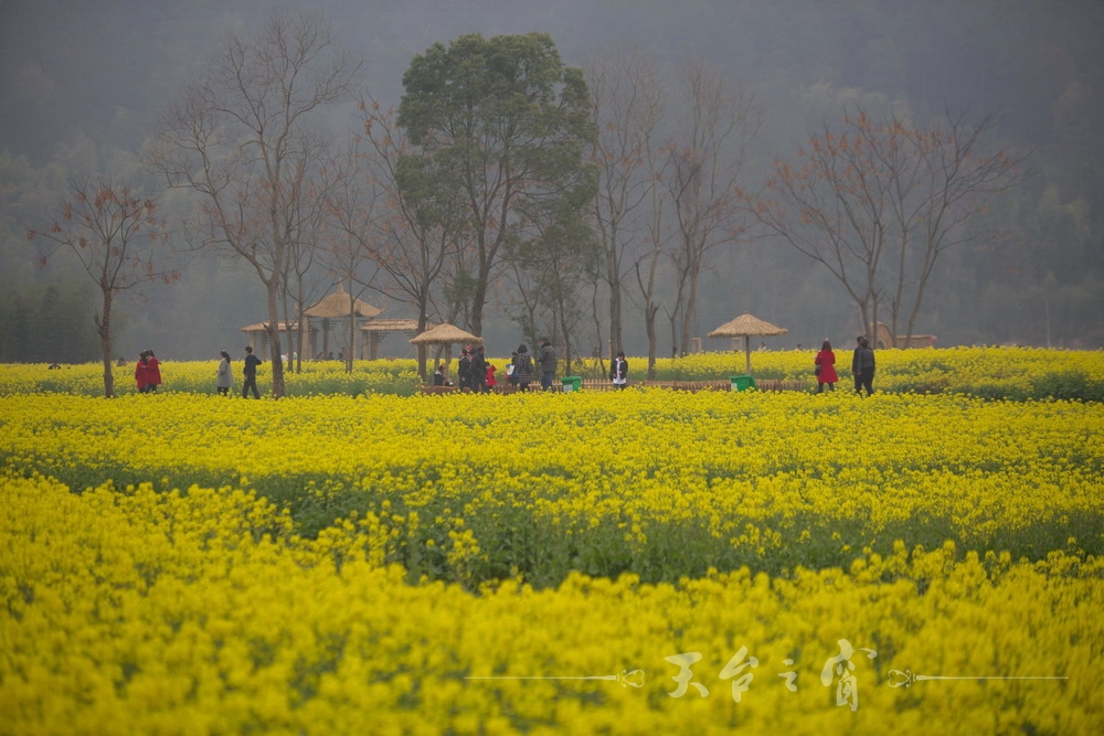 125A1211_调整大小.jpg