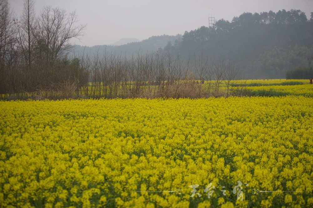 125A1214_调整大小.jpg