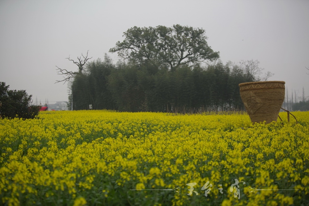 125A1219_调整大小.jpg