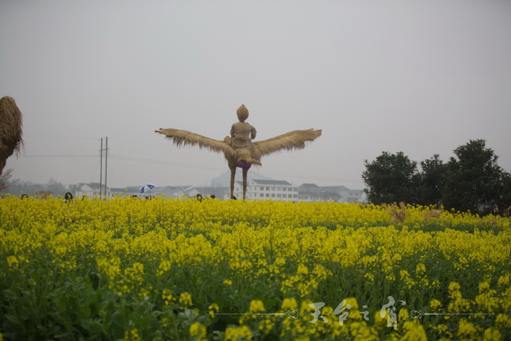 125A1220_调整大小.jpg