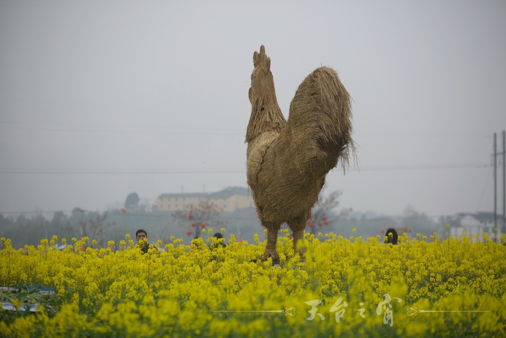 125A1223_调整大小.jpg