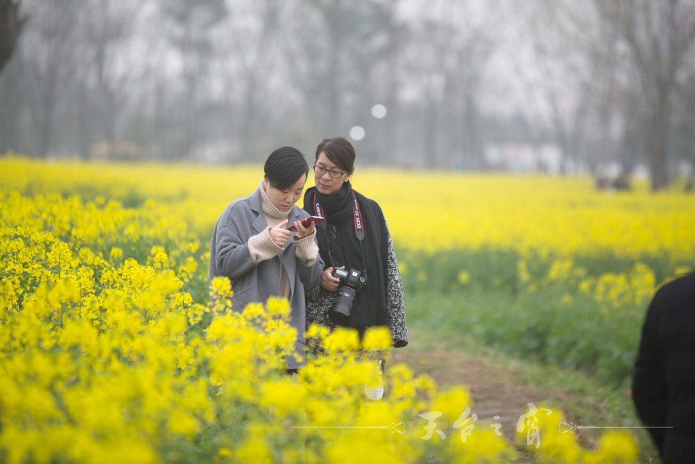 125A1225_调整大小.jpg
