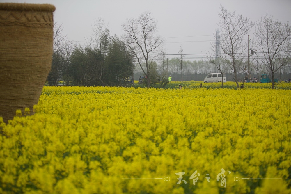 125A1227_调整大小.jpg