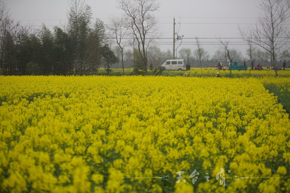 125A1231_调整大小.jpg