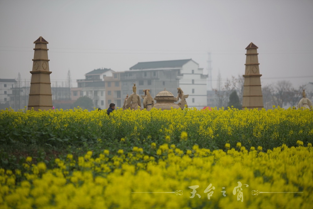 125A1233_调整大小.jpg