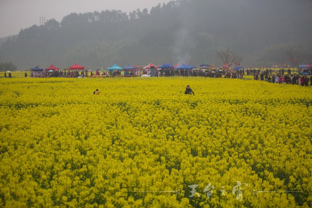 125A1237_调整大小.jpg