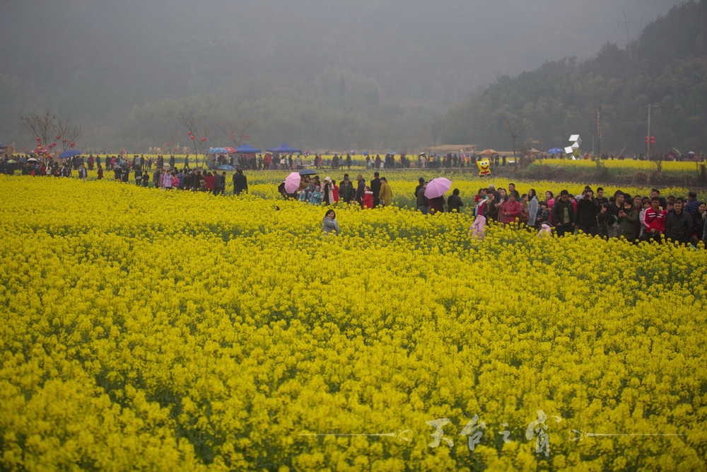 125A1238_调整大小.jpg