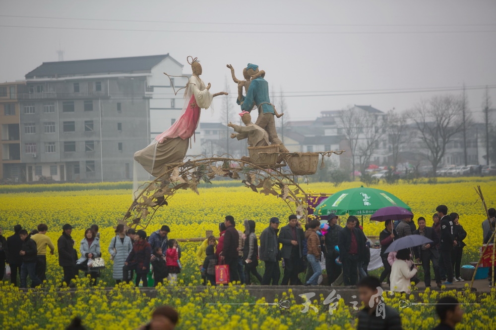 125A1242_调整大小.jpg