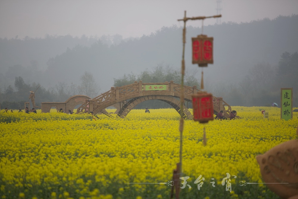 125A1254_调整大小.jpg