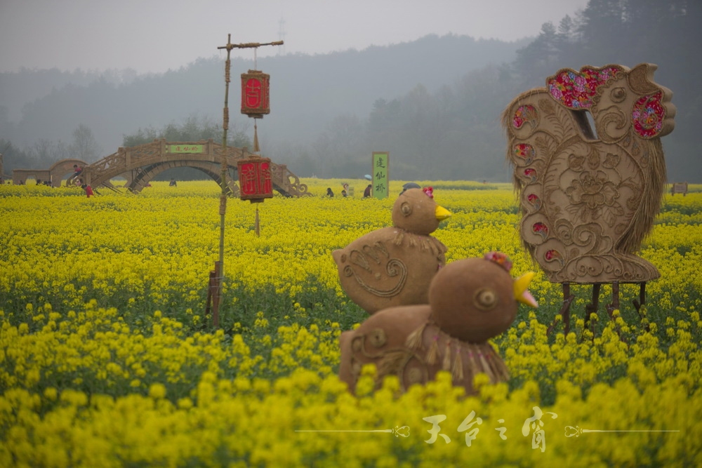 125A1258_调整大小.jpg