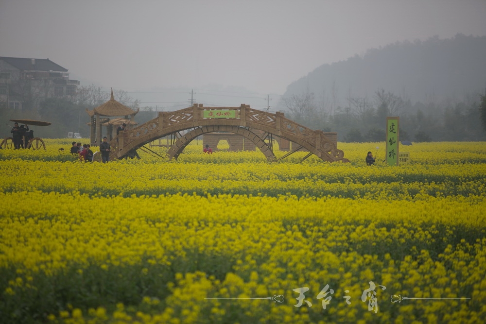 125A1264_调整大小.jpg