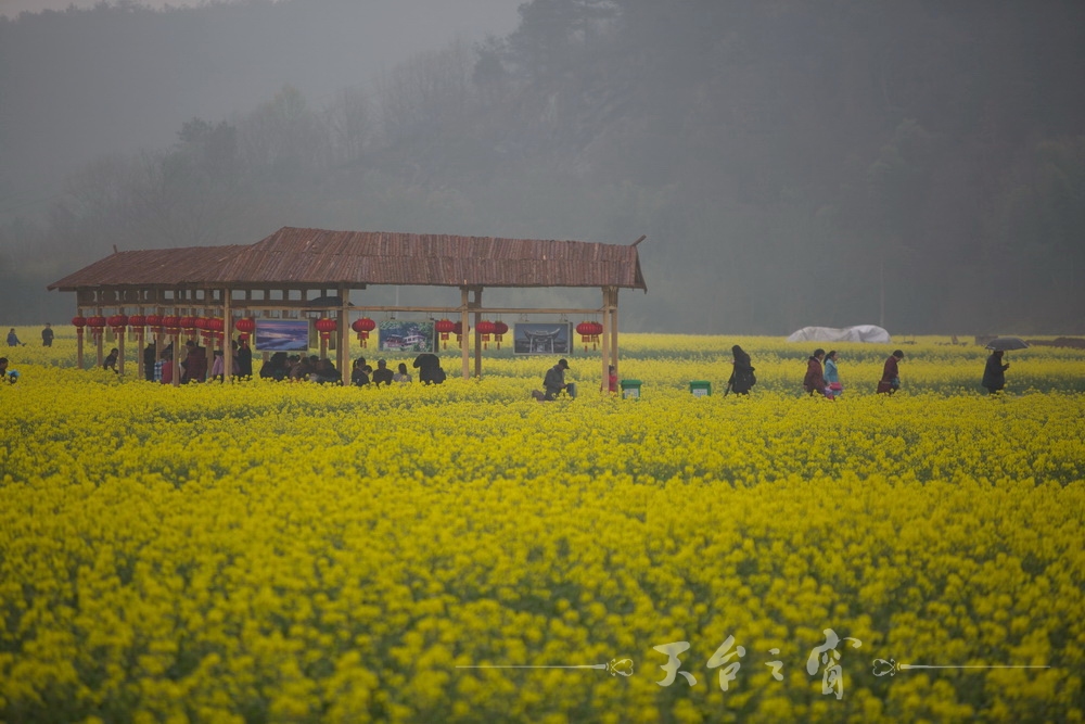 125A1261_调整大小.jpg