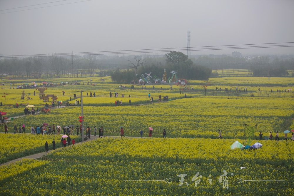 125A1277_调整大小.jpg