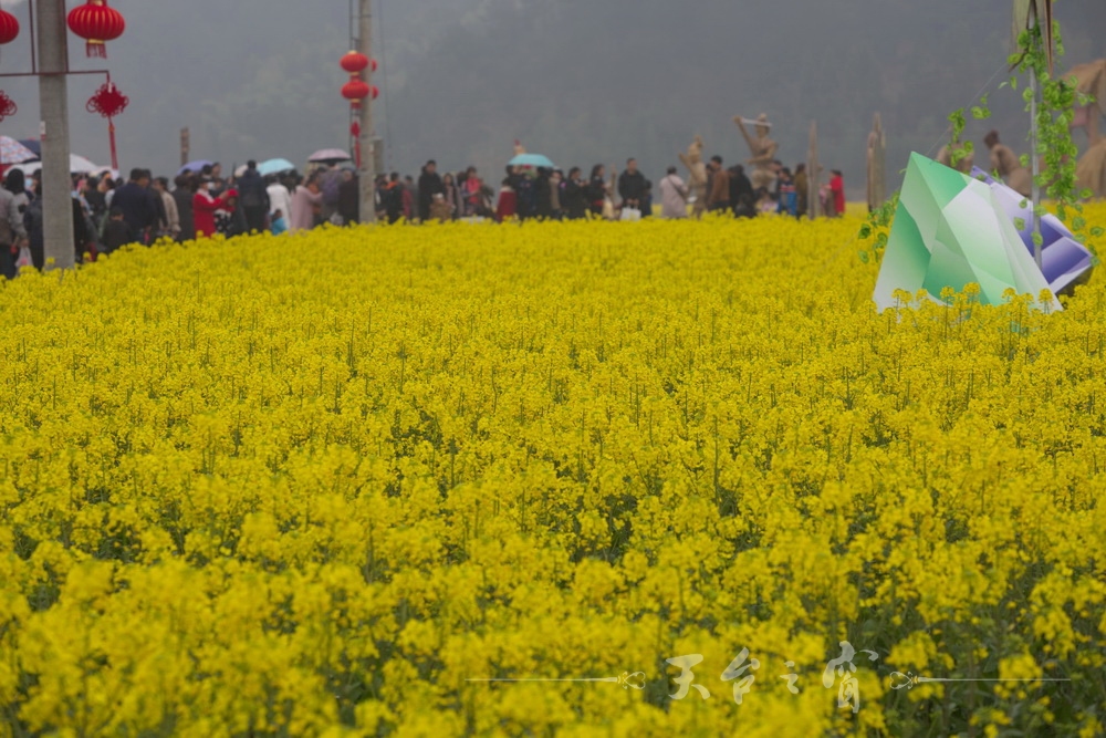 125A1299_调整大小.jpg