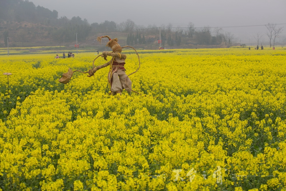 125A1339_调整大小.jpg