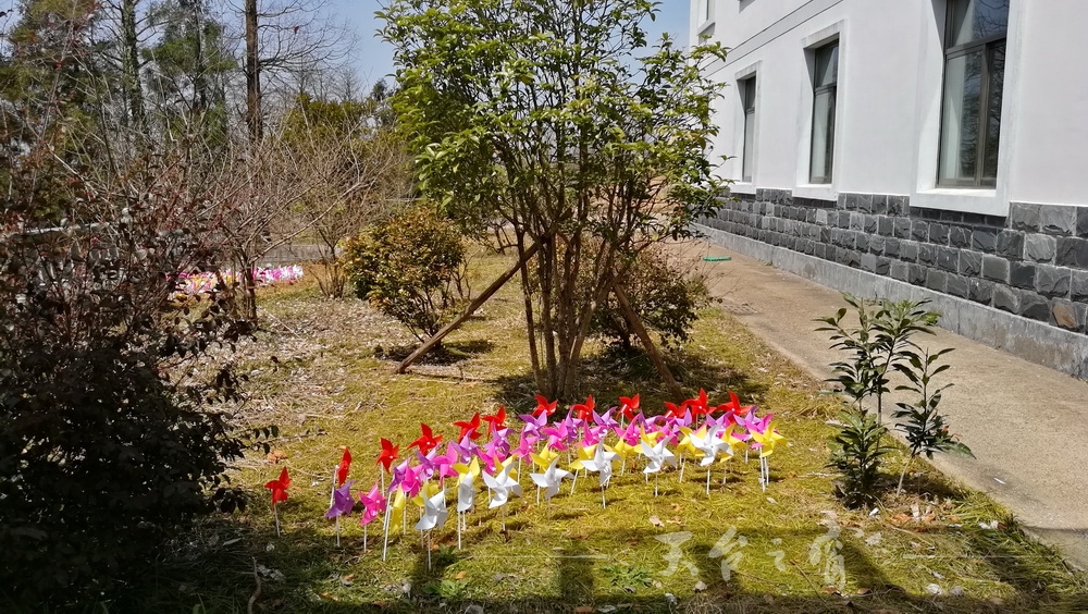 IMG_20170403_105958_调整大小.jpg