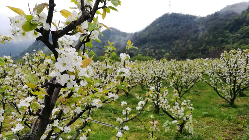 IMG_20170409_113347_调整大小.jpg