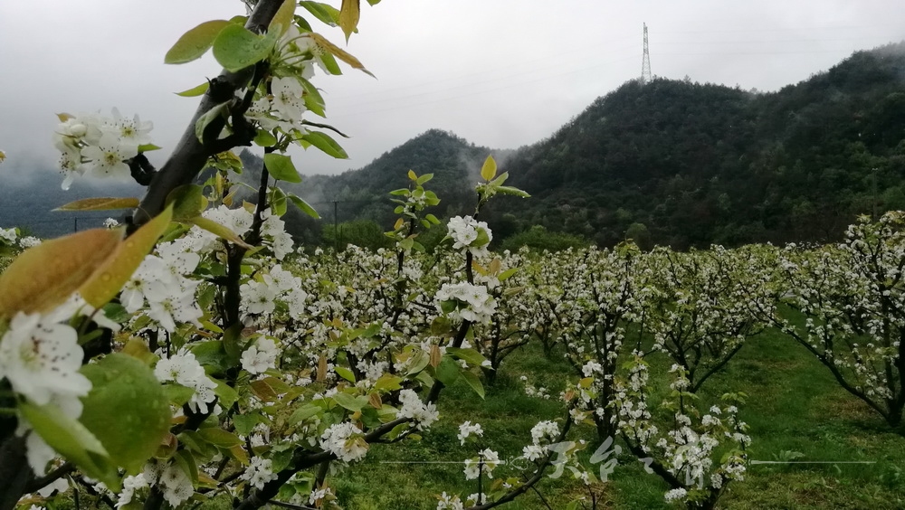 IMG_20170409_113438_调整大小.jpg