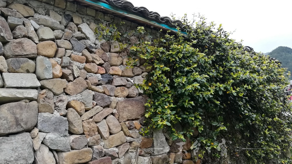 IMG_20170409_113830_调整大小.jpg