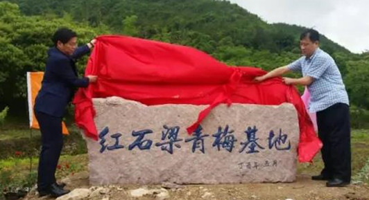 微信图片_20170524150859_副本.jpg