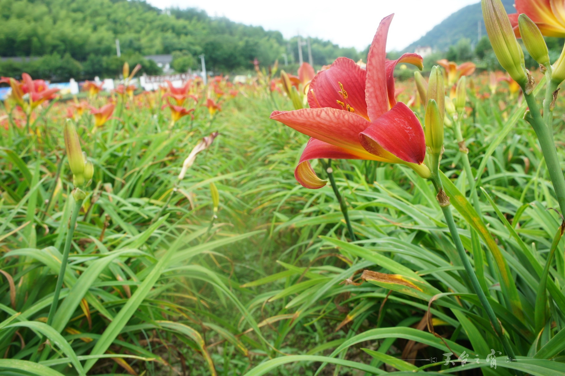 DSC01510_调整大小.JPG