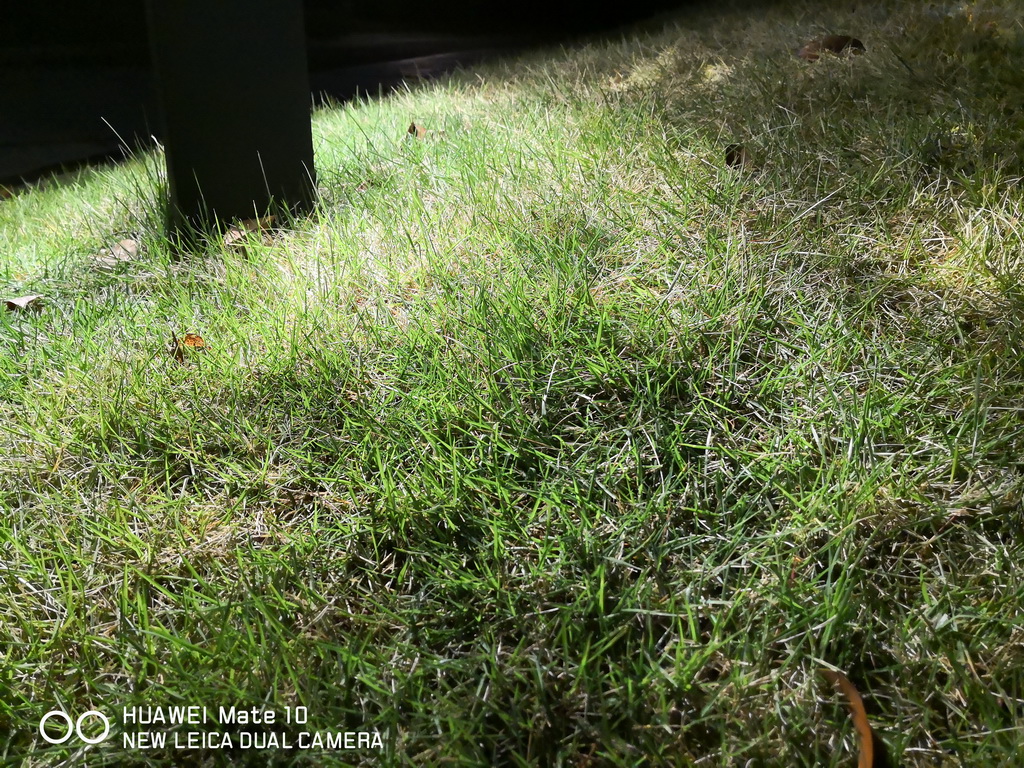 IMG_20171116_192559_调整大小.jpg
